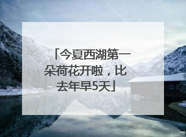 今夏西湖第一朵荷花开啦，比去年早5天